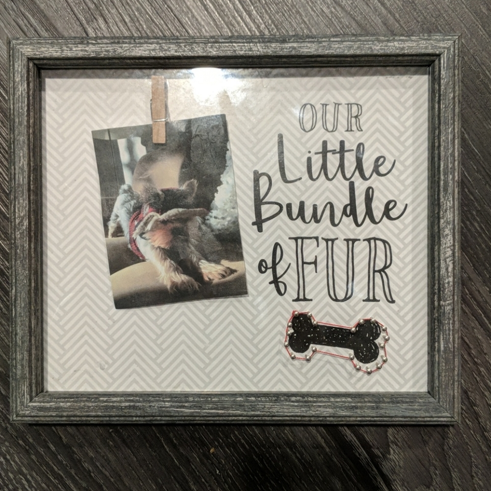 🛍️Dog Themed Shadow Box Frame